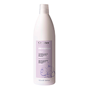 Детокс-шампунь с экстрактом чеснока д/всех типов волос, 1000мл FRUIT SUBLIME SHAMPOO GARLIC