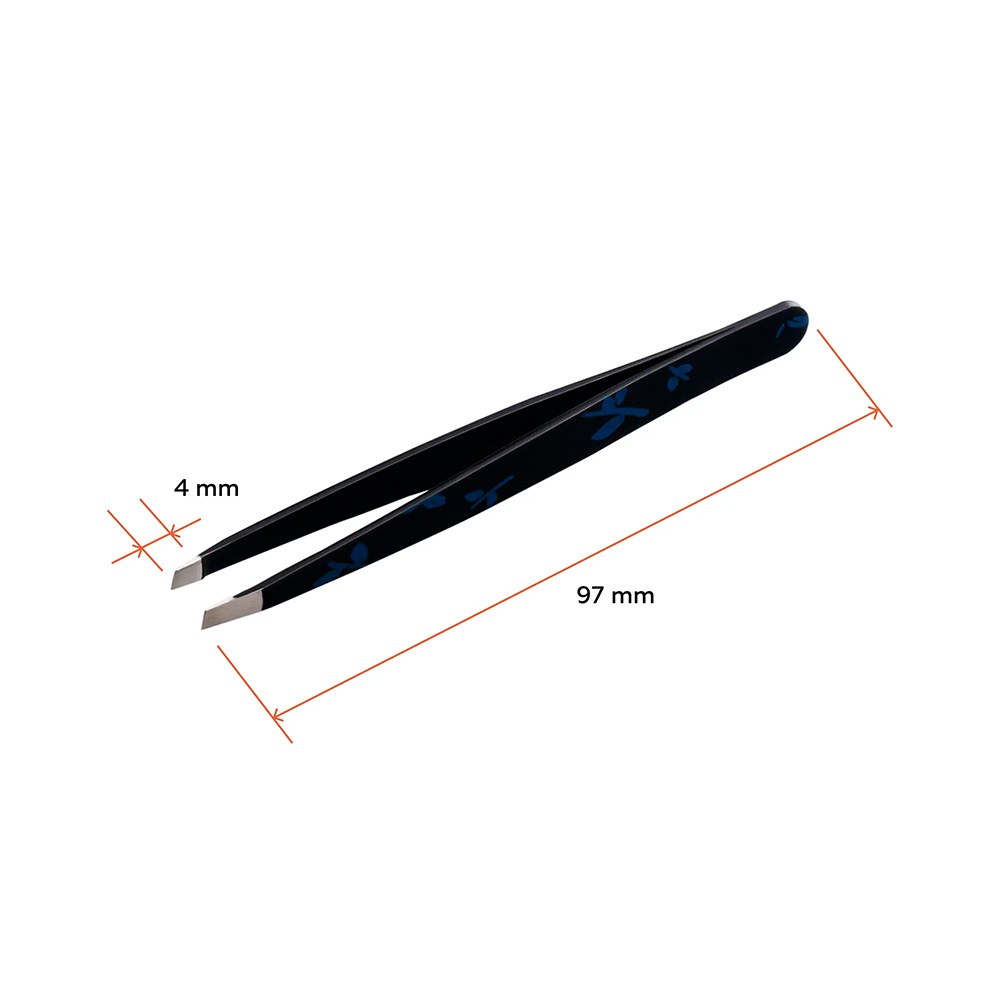 zb00080630_1