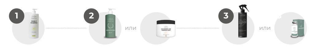 Процедуры Процедуры