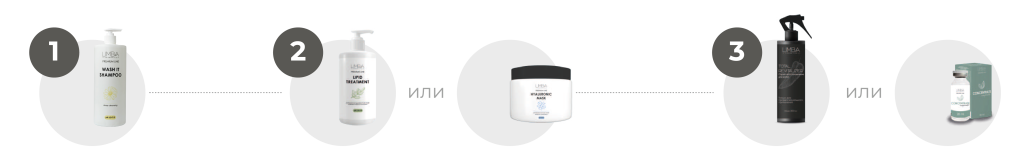 Процедуры Процедуры